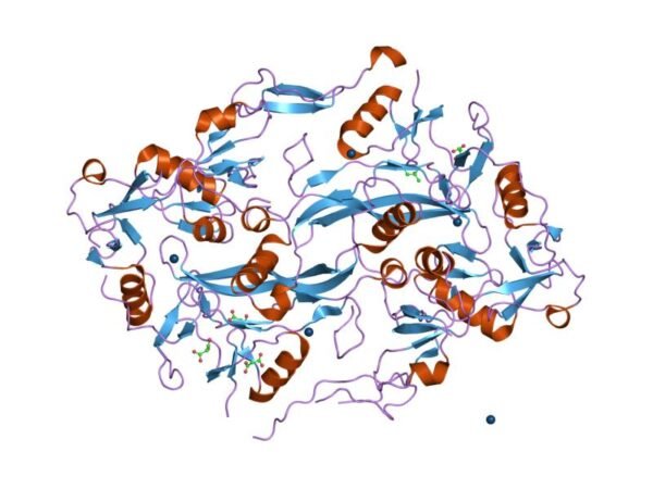 Buy Follistatin-344 1 mg (1 vial) - SwissChems - Buy Best Quality Peptides, SARMS Online